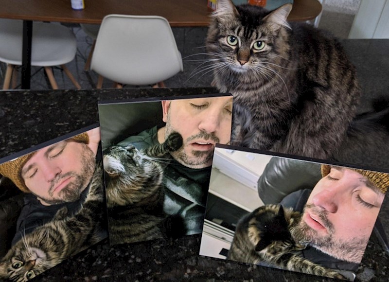 8. Žena me potajno fotkala dok sam spavao s macom i za Dan očeva mi poklonila ovaj kolaž