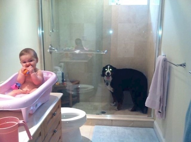 1. Svaki put kad kupamo dijete i naš pas zahtijeva kupanje