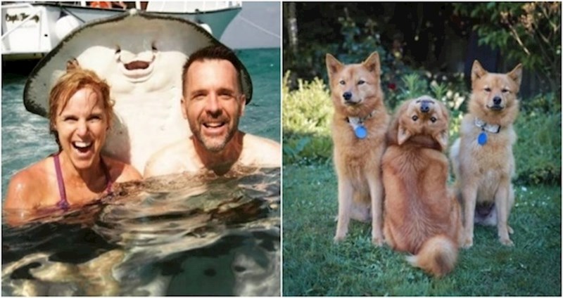 17 puta kad su ljudi pogodili savršen trenutak za uslikati životinje