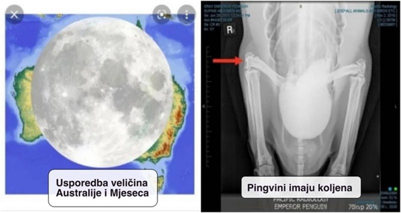 15 fascinantnih fotografija koje obavezno morate vidjeti barem jednom u životu