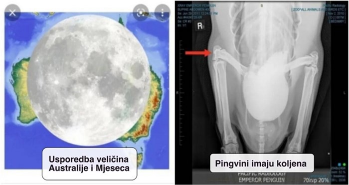 15 fascinantnih fotografija koje obavezno morate vidjeti barem jednom u životu