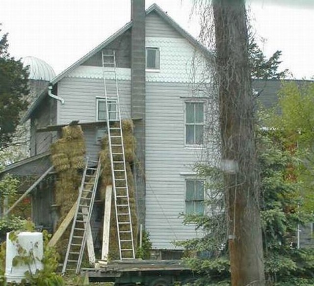 13.