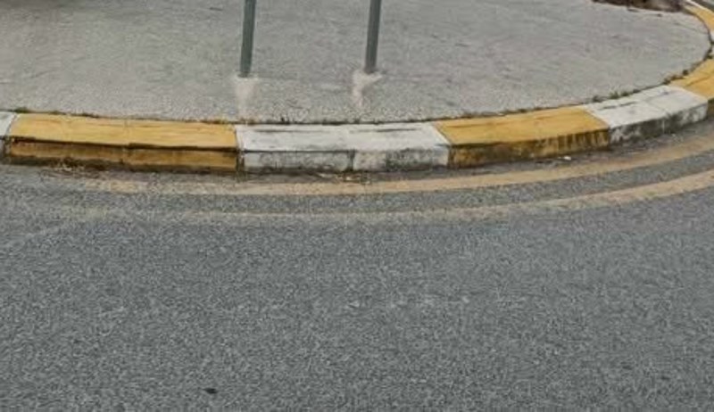 Vozač je nasred kružnog toka snimio bizaran prizor, rijetko kome bi ovako nešto palo na pamet