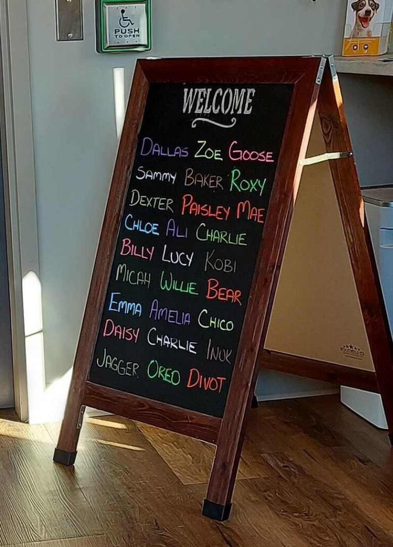 2. Veterinar je poželio dobrodošlicu svim pacijentima koji su bili naručeni toga dana.🥰