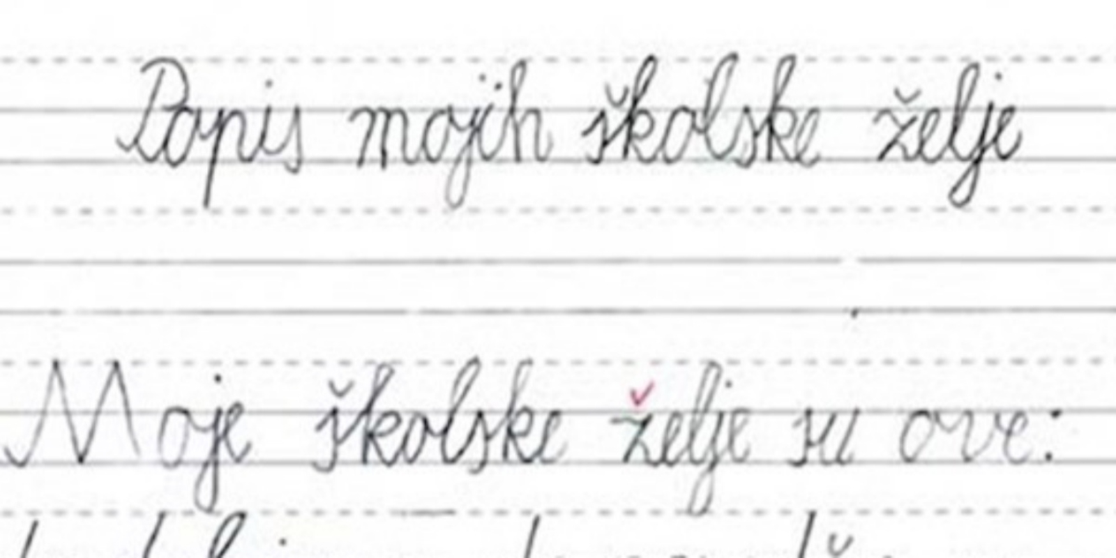 Djeca su morala napisati svoje želje za narednu školsku godinu, rad ovog učenika odmah je postao hit