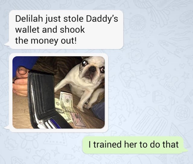 8. Sin je naučio psa da ukrade tatin novčanik i istrese novac van