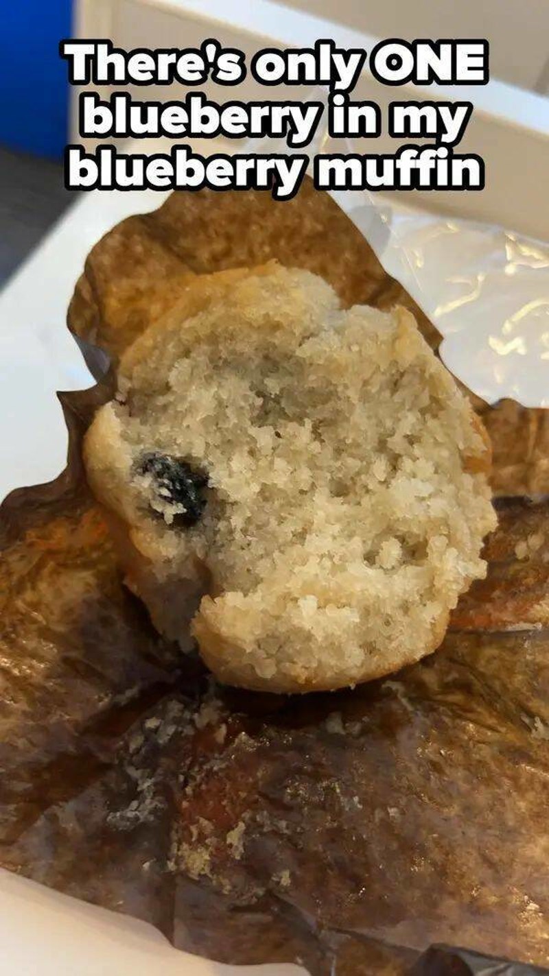 15. U mojem muffinu od borovnice je samo JEDNA borovnica