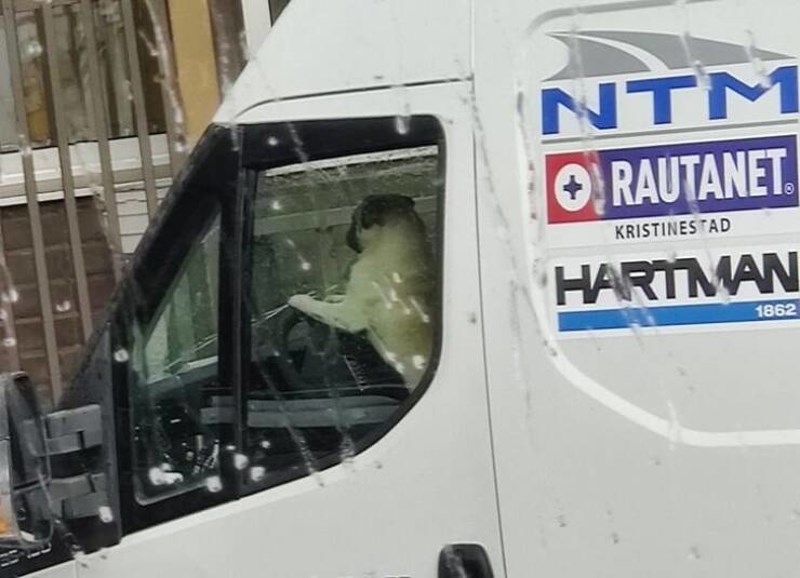 17. Gdje god da ide, želimo s njim!😁