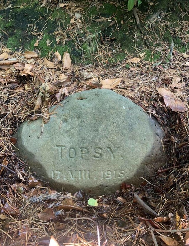 14. Moji roditelji su  u dvorištu pronašli grob psa iz 1915. godine