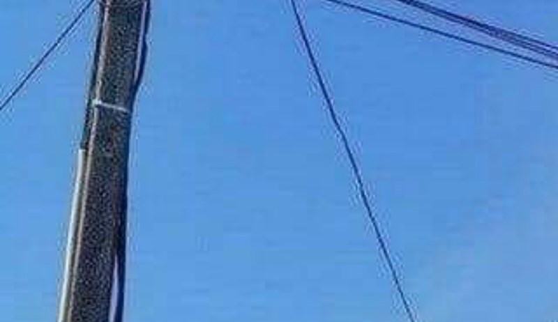 Obitelj iz Srbije nasmijala je cijelu regiju bizarnim detaljem u svome dvorištu, fotka je hit