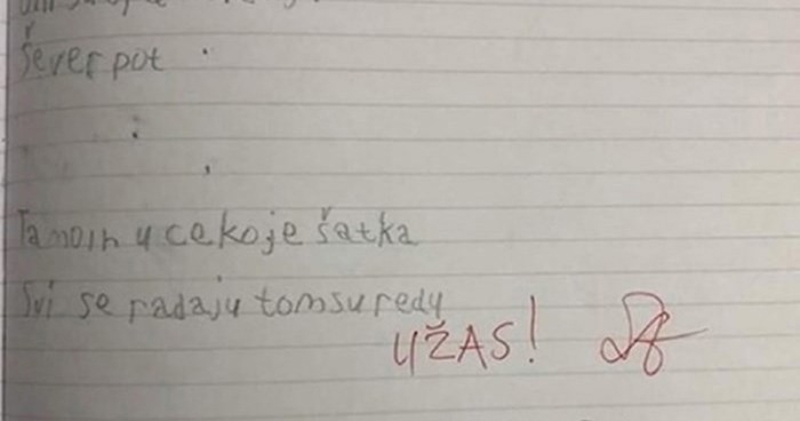 Kad je mama vidjela što je učiteljica napisala njenom djetetu, napisala joj je poruku u bilježnici