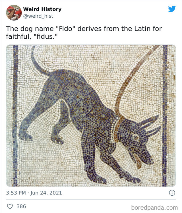 37. Podrijetlo imena Fido