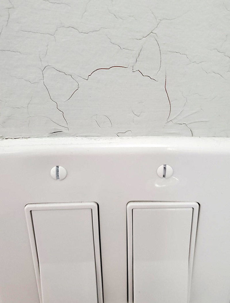 6. Pukotina na zidu podsjeća na macu