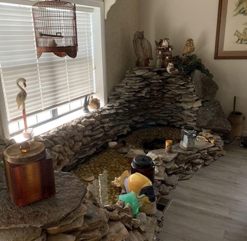 8. Njegovi baka i djed imaju ne tako mali ribnjak usred dnevne sobe.