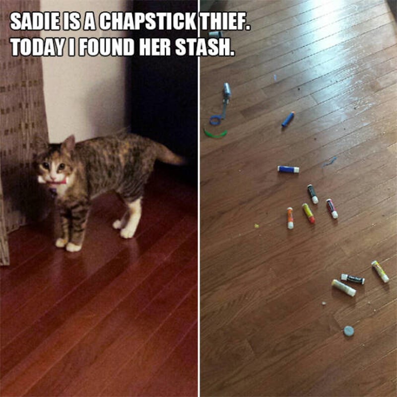 16. Sadie je naša mala lopovica