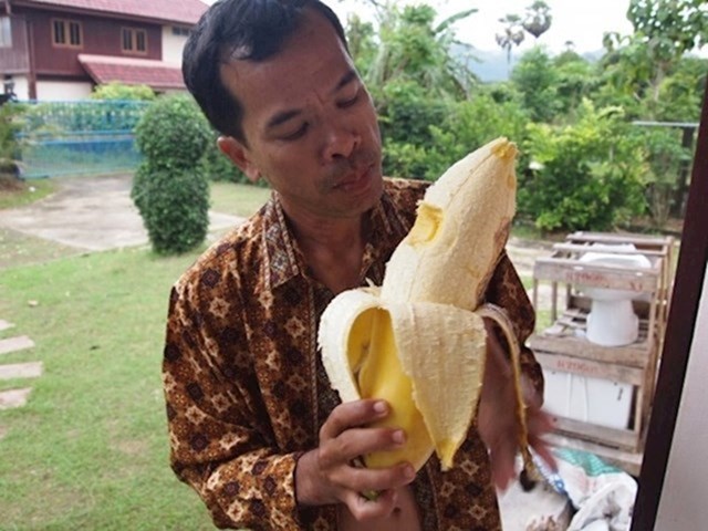 Na Tajlandu raste oko 22 vrste banana, a neke od njih su stvarno ogromne