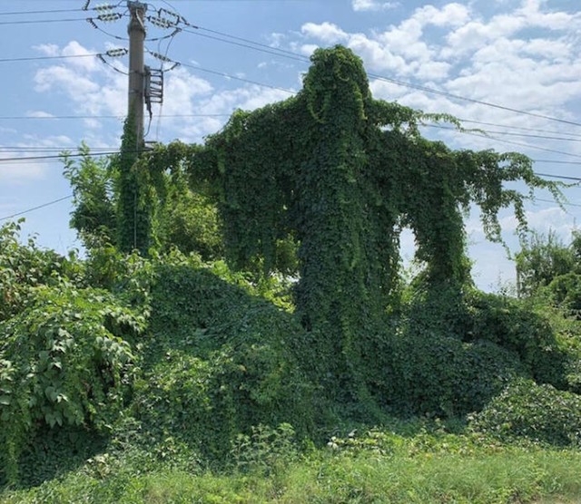 10.