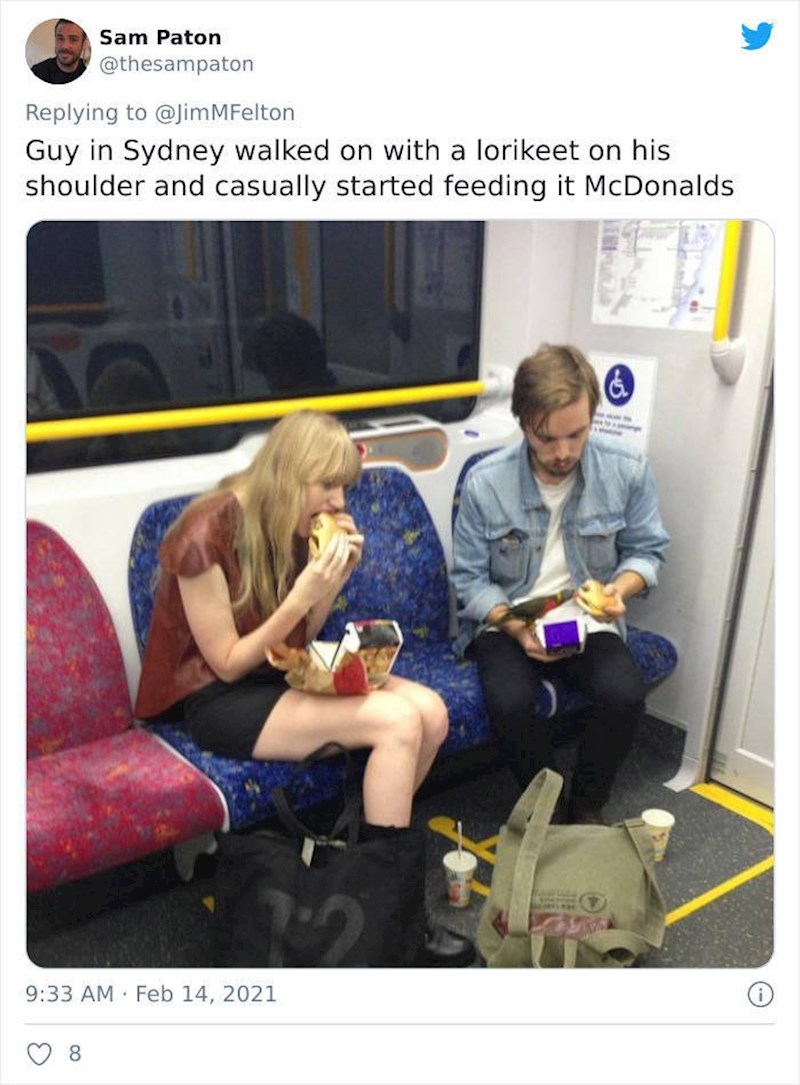 17. Nonšalantno hrani papigu McDonald'som