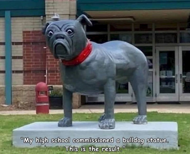 14. Moja škola odlučila je postaviti kip buldoga