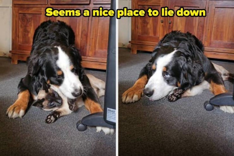 7. Odlično mjesto za prileći