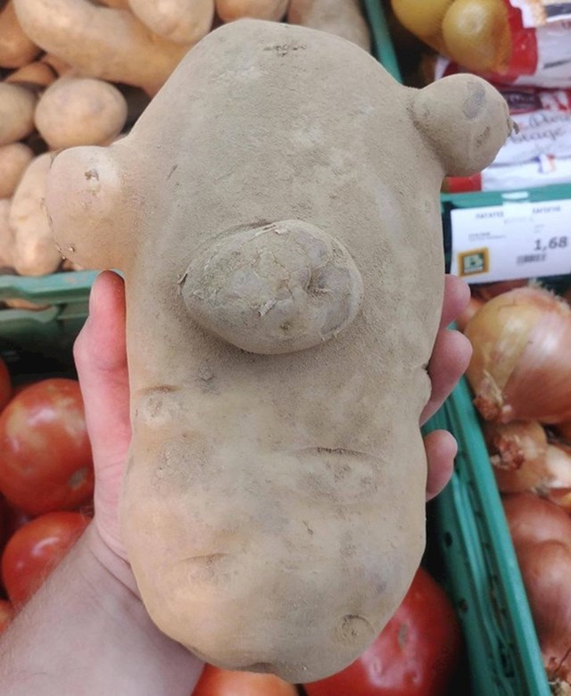 "Ovaj ogromni krumpir izgleda kao Sid iz Ledenog doba."
