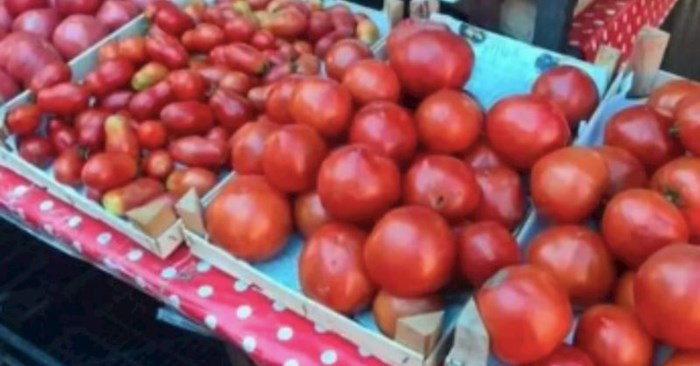 Prodavač s tržnice postavio je upozorenje za kupce iznad svojih rajčica, fotka je odmah postala hit