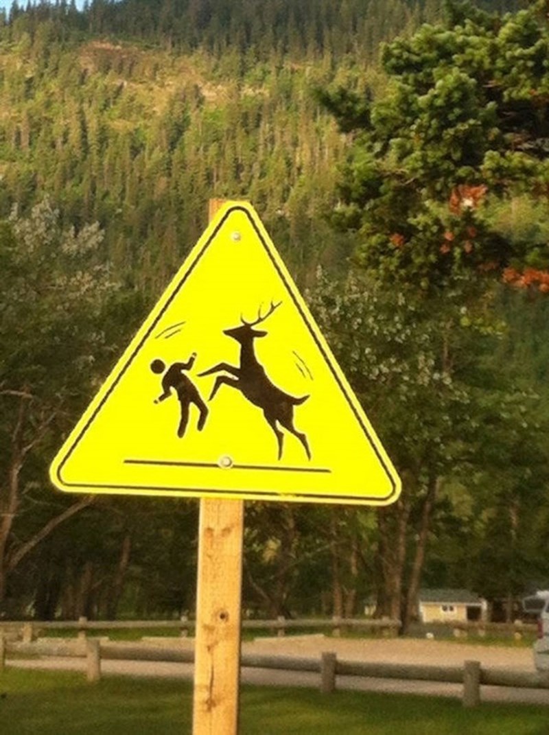 Ovakav znak još nismo vidjeli😝