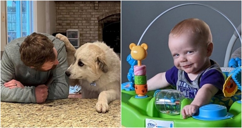 19 dražesnih fotki od kojih ćete odmah osjetiti nalet pozitive