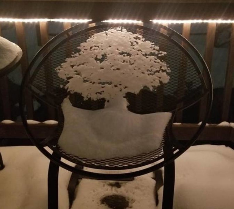 8. Snijeg koji se topi formirao je oblik krošnje