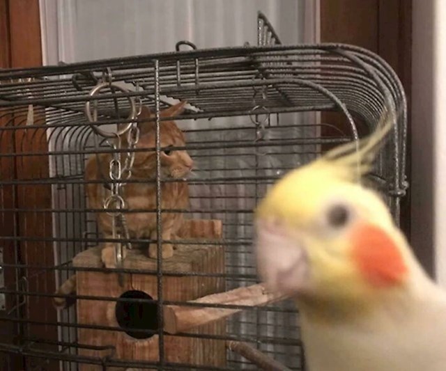 16.