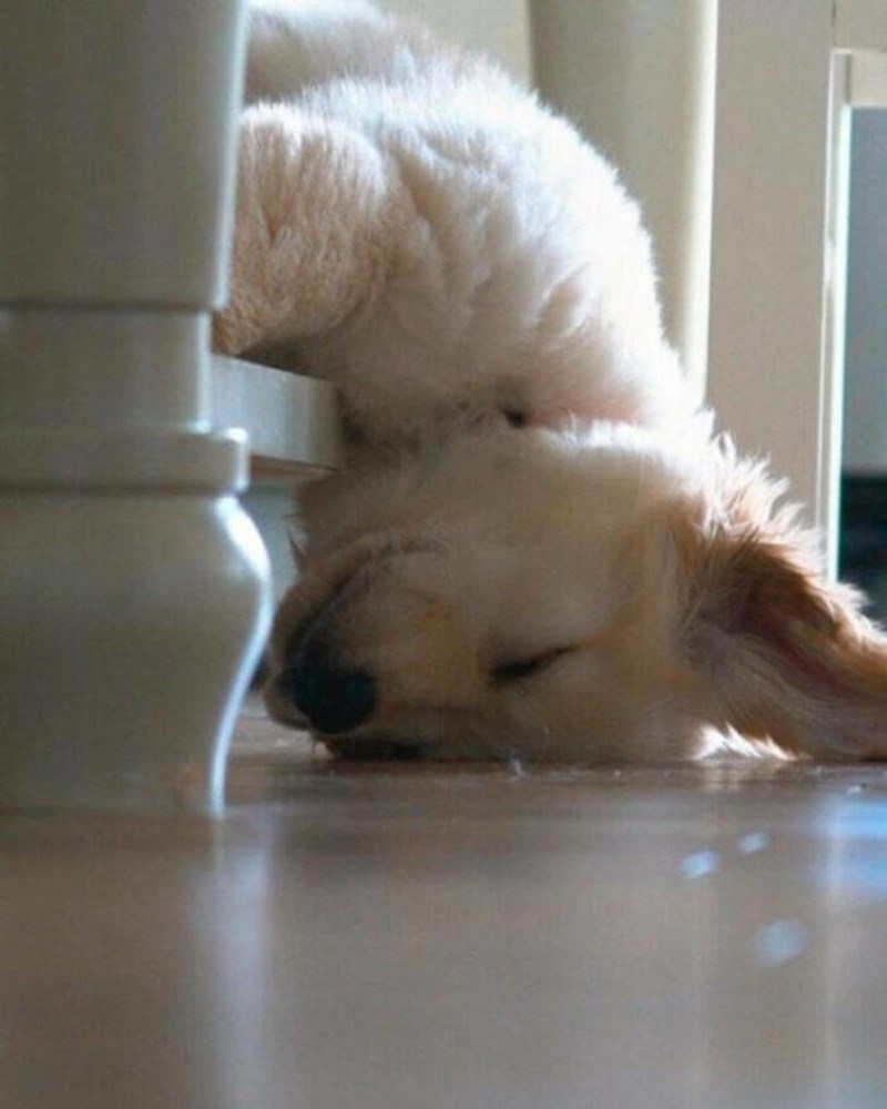 11. Kad te umor savlada na najneočekivanijem mjestu...