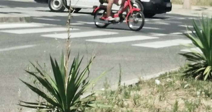 Fotka iz Zadra obišla je cijeli Balkan, prasnut ćete u smijeh kad vidite što radi vozač mopeda