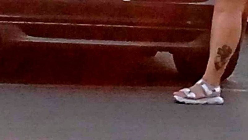 Dalmatince je nasmijala registracija ovog turista, kad vidite fotku odmah ćete skužiti zašto