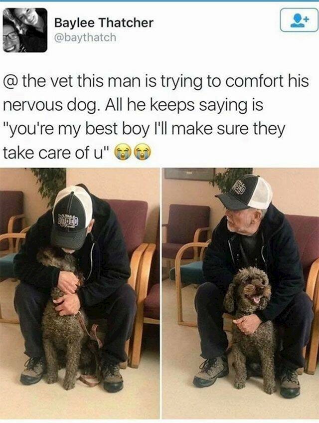 6. Ovaj pas se malo unervozi prilikom posjete veterinaru pa ga je njegov vlasnik tješio riječima: "Ti si moj najbolji dečko, pobrinut će se za tebe!"