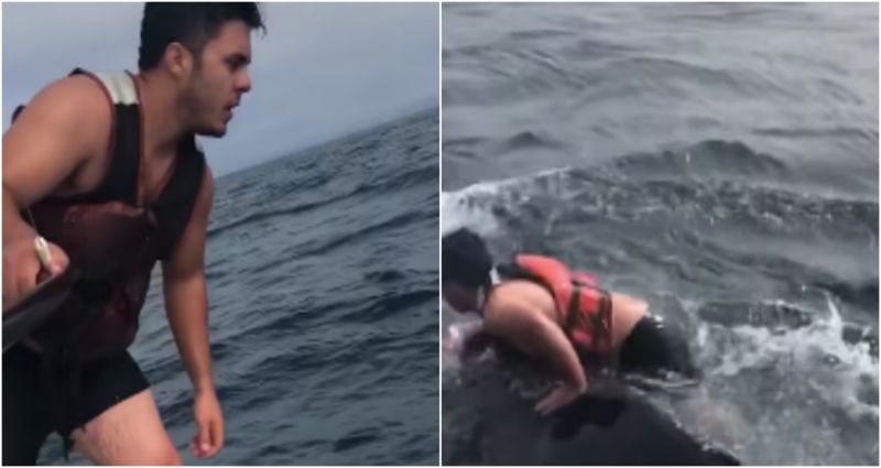 Ribar je uočio golemog kita zarobljenog u užadi, snimka onoga što je uslijedilo zadivila je svijet