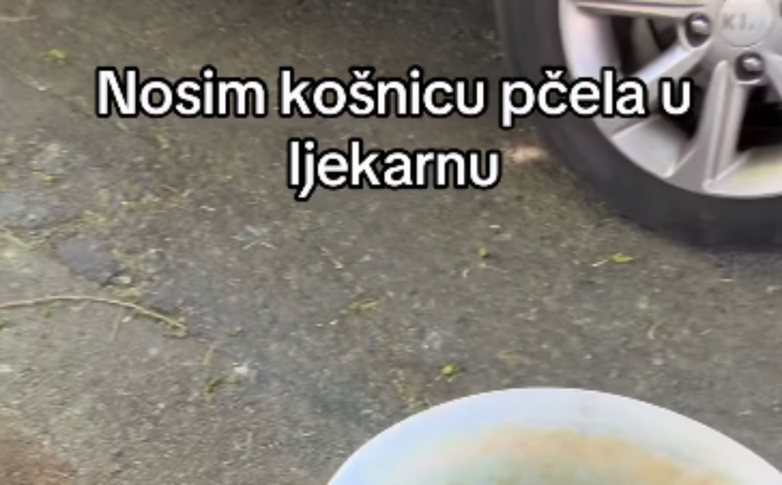 Tip se pretvarao da je u ljekarnu donio košnicu s pčelama, snimka je hit na mrežama