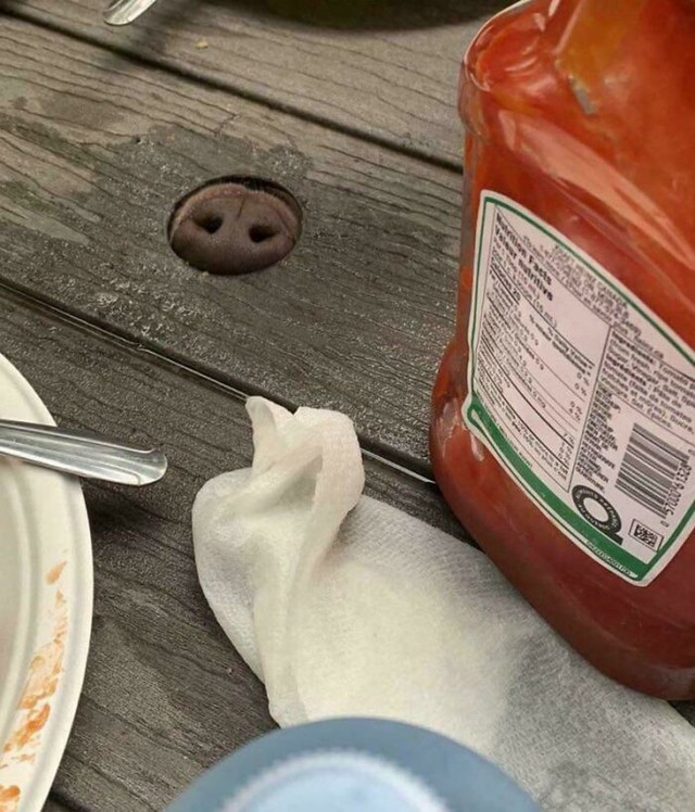 4. Boop!