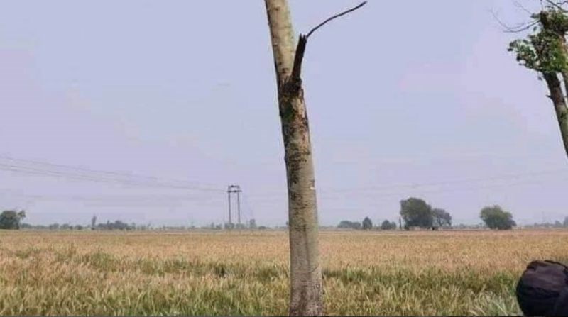 Fotka dalekovoda iz Srbije obišla je cijeli Balkan, prizor je potpuno bizaran i teško objašnjiv