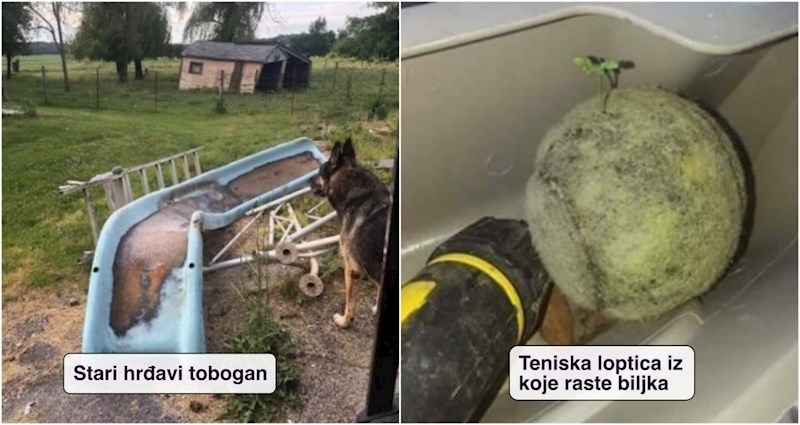 17 bizarnih stvari koje su ljudi pokušali prodati preko interneta, ima baš šokantnih