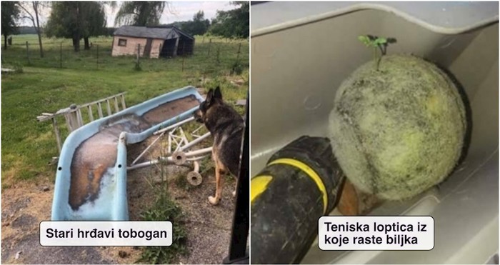 17 bizarnih stvari koje su ljudi pokušali prodati preko interneta, ima baš šokantnih