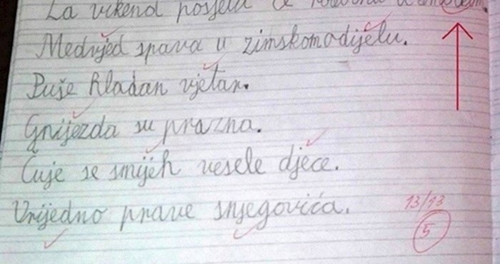 Dijete je napravilo grešku u diktatu, no učiteljica iz Imotskog nije imala srca prekrižiti ovu riječ