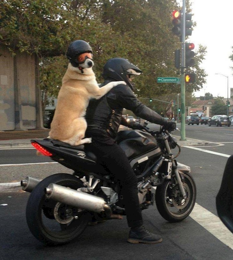 3. Na prvu sam mislila da je ruksak.