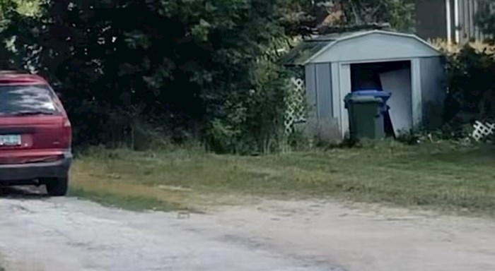 Tip je snimio kako njegov lijeni susjed kosi travu, odmah ćete vidjeti zašto je snimka viralni hit
