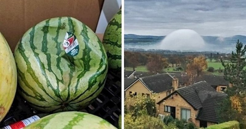 15 zanimljivih prizora za one koji misle da ih ništa više ne može iznenaditI