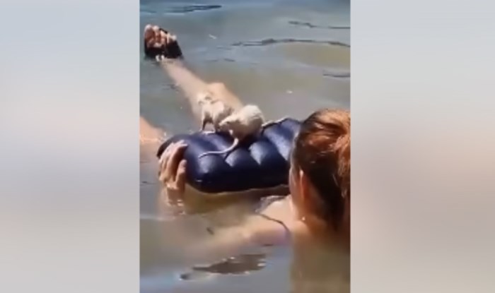 Snimka s beogradske Ade Ciganlije obišla je regiju, morate vidjeti koga je žena dovela na kupanje