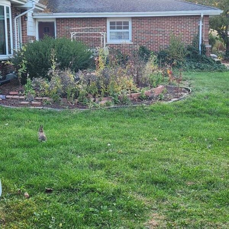 8. A na ovoj su fotki 3 zeca