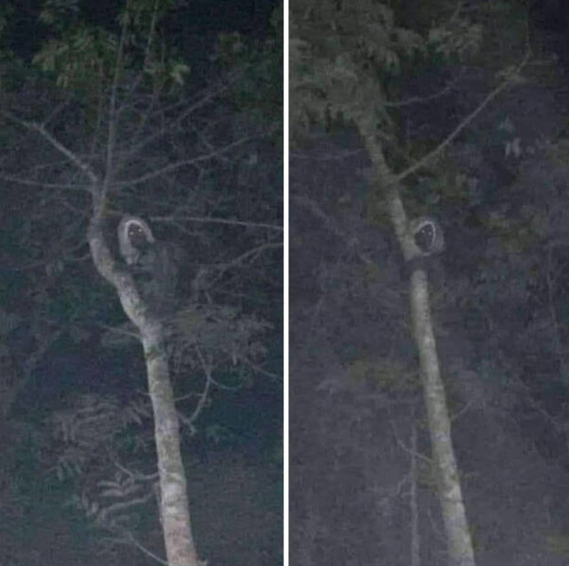6. Čovjek u Meksiku tvrdi da je fotografirao vješticu