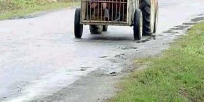 Fotka iz Srbije obišla je cijelu regiju brzinom munje, prizor je istovremeno bizaran i urnebesan