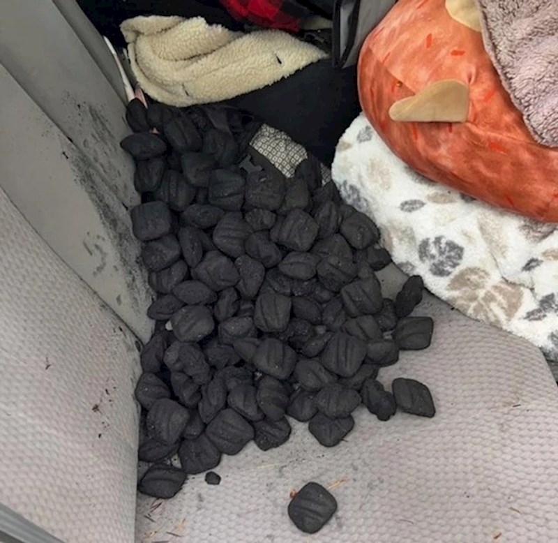 9. Vreća ugljena prosula mi se po autu