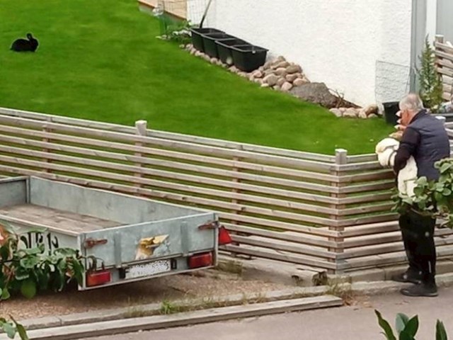 16. Ovaj čovjek svaki dan prođe pokraj moje kuće i podigne svoga psa kako bi mogao vidjeti susjedovog zeca.